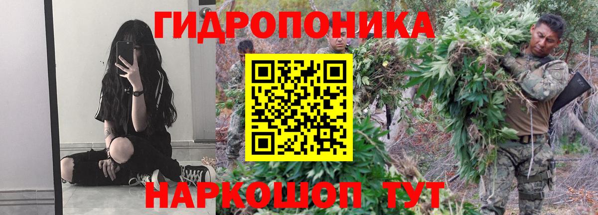 Бошки Шишки ГИДРОПОН Большой Камень